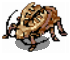Golden Thief Bug
