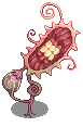 Flora