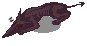 Matyr