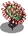 Drosera