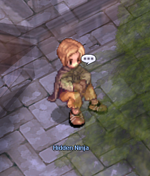 Ninja NPC